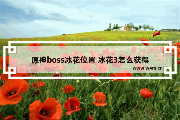 原神boss冰花位置 冰花3怎么获得