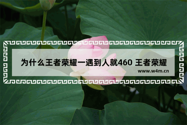 为什么王者荣耀一遇到人就460 王者荣耀为什么老是460