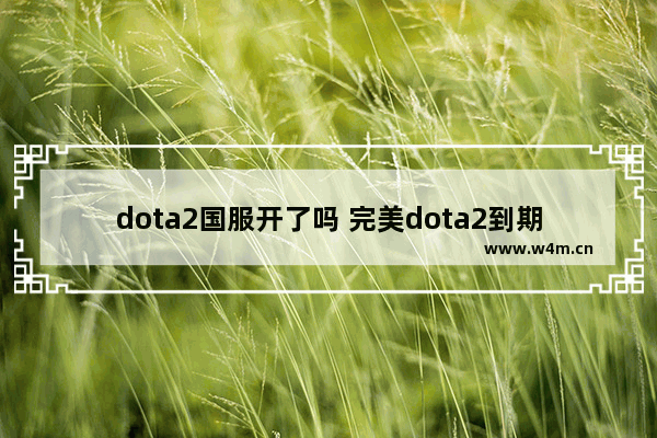 dota2国服开了吗 完美dota2到期