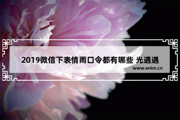 2019微信下表情雨口令都有哪些 光遇遇鲤红包口令是啥