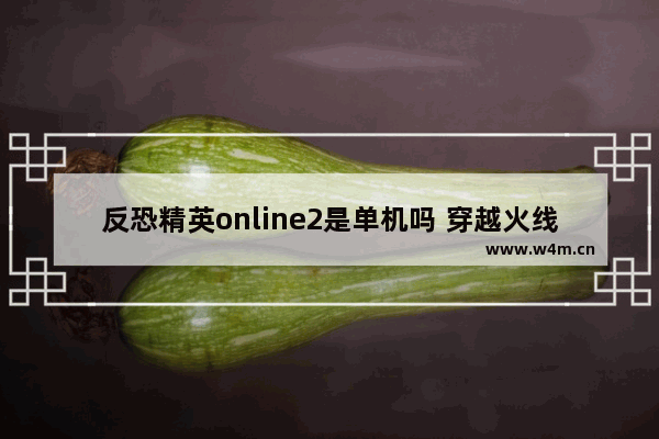 反恐精英online2是单机吗 穿越火线2反恐精英版