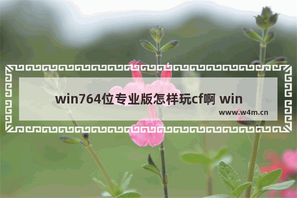 win764位专业版怎样玩cf啊 win7 64位 穿越火线