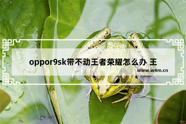 oppor9sk带不动王者荣耀怎么办 王者荣耀sk