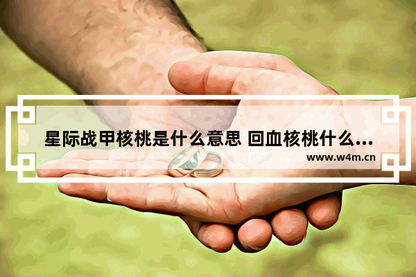 星际战甲核桃是什么意思 回血核桃什么意思