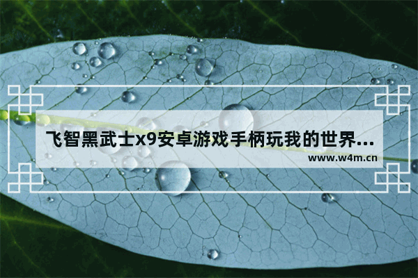 飞智黑武士x9安卓游戏手柄玩我的世界怎么样 黑武士有线怎么连接手机