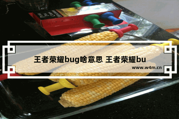 王者荣耀bug啥意思 王者荣耀bu