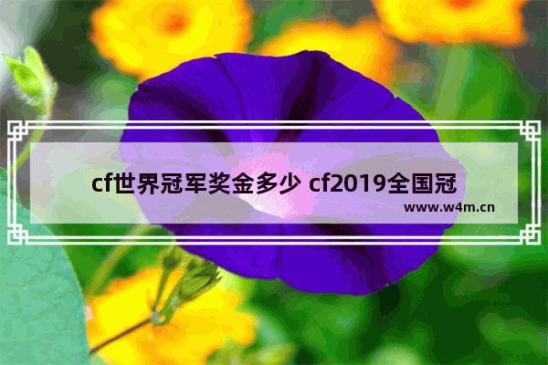 cf世界冠军奖金多少 cf2019全国冠军