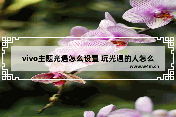 vivo主题光遇怎么设置 玩光遇的人怎么称呼