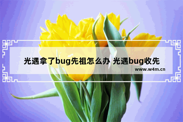 光遇拿了bug先祖怎么办 光遇bug收先祖