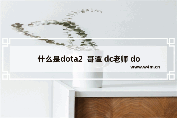 什么是dota2  哥谭 dc老师 dota2