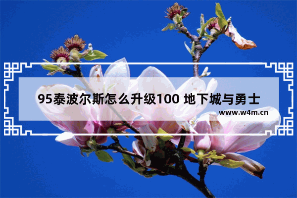 95泰波尔斯怎么升级100 地下城与勇士泰波尔斯属性