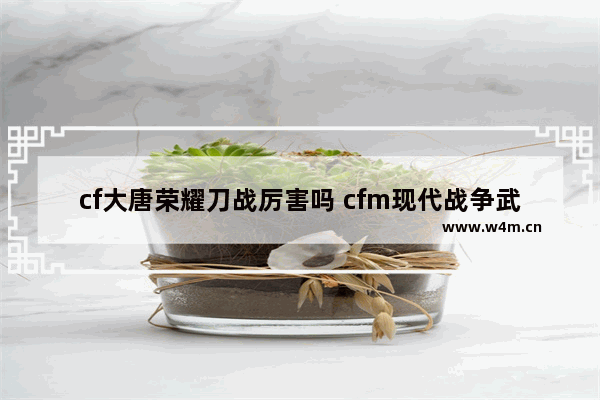 cf大唐荣耀刀战厉害吗 cfm现代战争武器有哪些