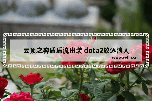 云顶之弈盾盾流出装 dota2放逐浪人