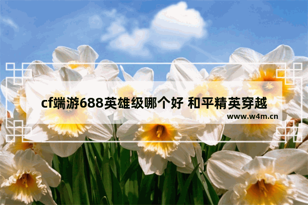 cf端游688英雄级哪个好 和平精英穿越火线段位对比