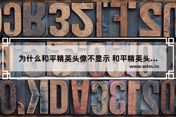 为什么和平精英头像不显示 和平精英头像暂时无法查看怎么办