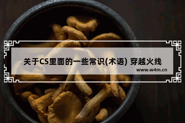 关于CS里面的一些常识(术语) 穿越火线微笑手雷