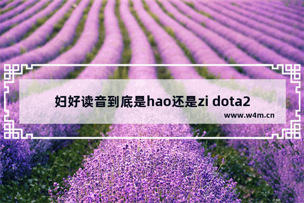 妇好读音到底是hao还是zi dota2 hao 老婆