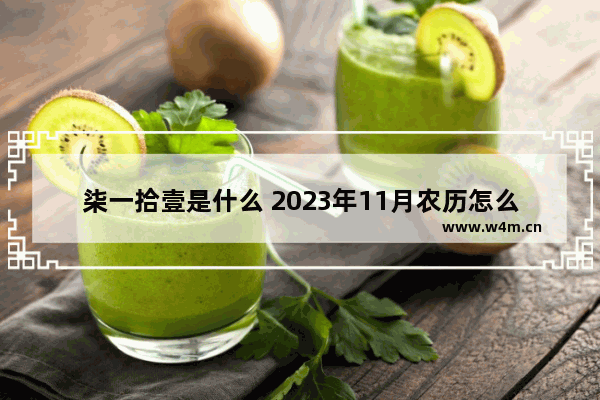 柒一拾壹是什么 2023年11月农历怎么写