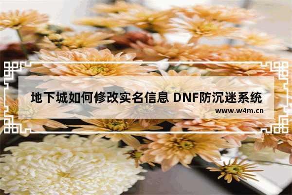 地下城如何修改实名信息 DNF防沉迷系统实名认证怎么改