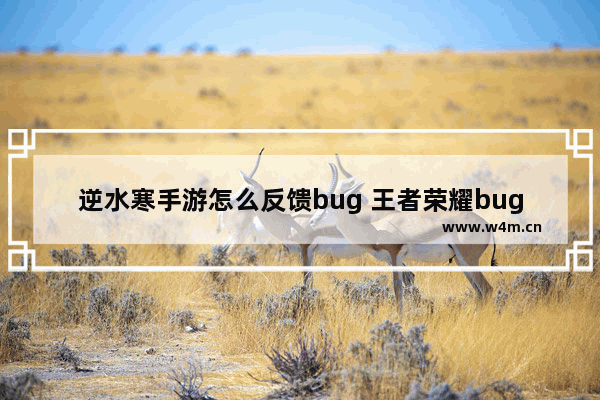 逆水寒手游怎么反馈bug 王者荣耀bug反馈窗口