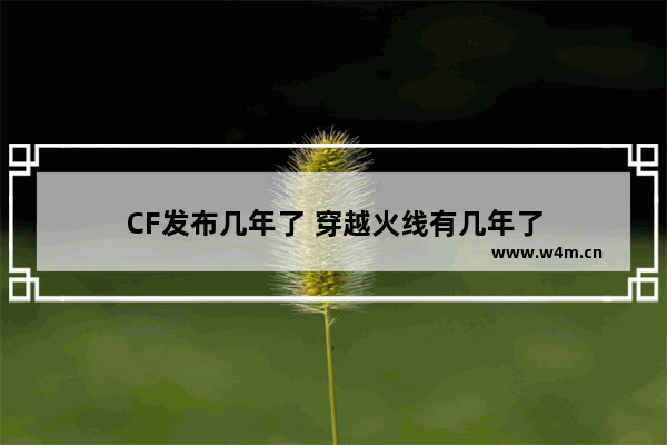 CF发布几年了 穿越火线有几年了