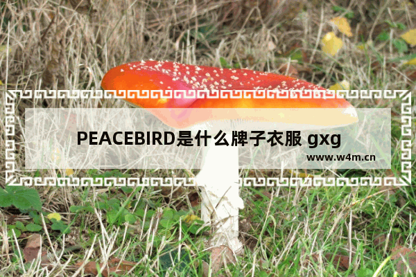 PEACEBIRD是什么牌子衣服 gxg为啥比太平鸟便宜