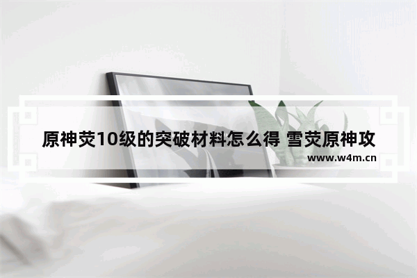 原神荧10级的突破材料怎么得 雪荧原神攻略