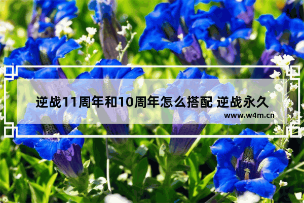 逆战11周年和10周年怎么搭配 逆战永久武器和耐久武器的区别