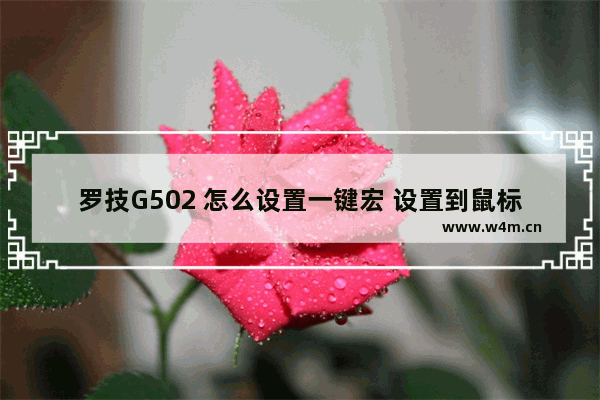 罗技G502 怎么设置一键宏 设置到鼠标上的 比如说LOL的光速QA或一键瞬狙的 我家ping在 罗技宏按键cf一键跳箱子设置方式。g402