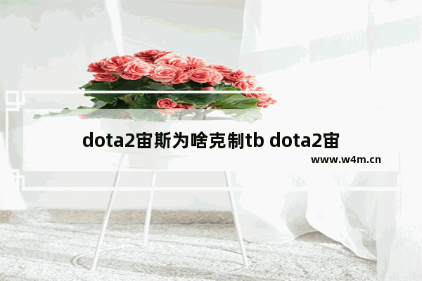 dota2宙斯为啥克制tb dota2宙斯7.30出装