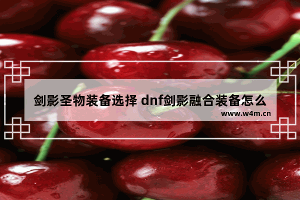 剑影圣物装备选择 dnf剑影融合装备怎么选择