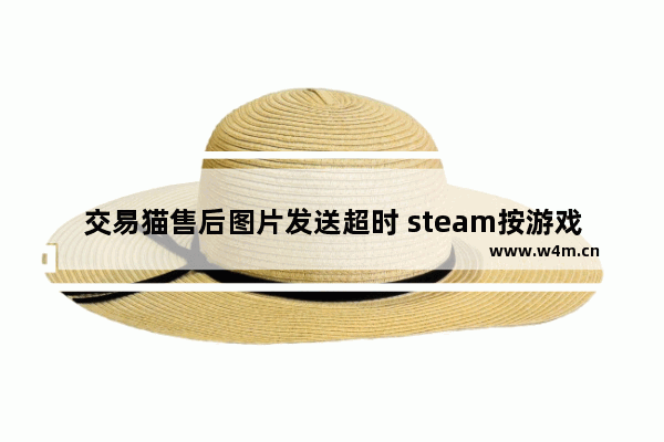 交易猫售后图片发送超时 steam按游戏显示连接超时什么原因