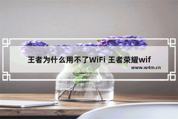 王者为什么用不了WiFi 王者荣耀wifi进不去