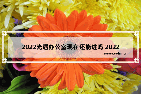 2022光遇办公室现在还能进吗 2022光遇体验服