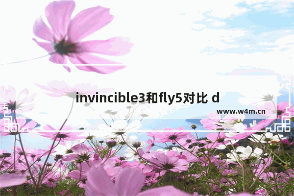 invincible3和fly5对比 dc穿越火线无敌版