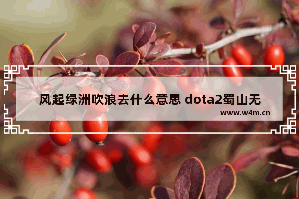 风起绿洲吹浪去什么意思 dota2蜀山无常