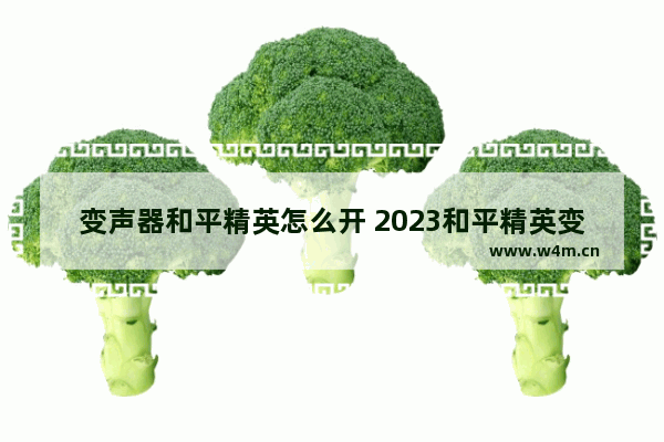 变声器和平精英怎么开 2023和平精英变声器怎么开