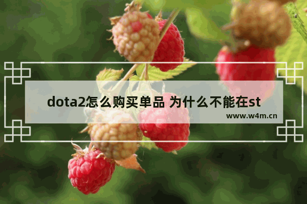 dota2怎么购买单品 为什么不能在steam上买DOTA2饰品