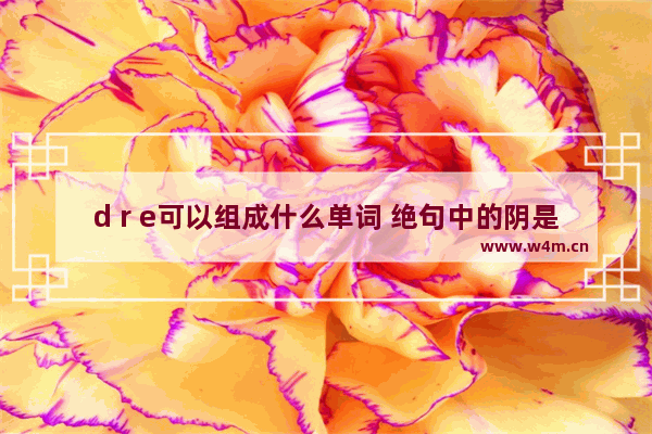 d r e可以组成什么单词 绝句中的阴是什么意思