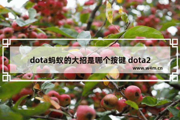 dota蚂蚁的大招是哪个按键 dota2蚂蚁魔晶效果