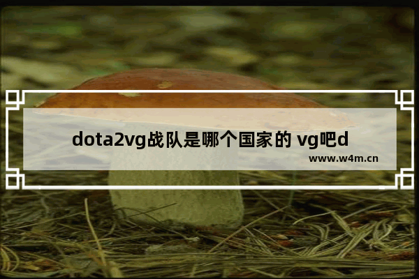 dota2vg战队是哪个国家的 vg吧dota2