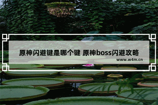 原神闪避键是哪个键 原神boss闪避攻略