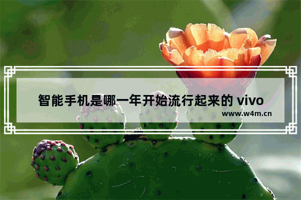 智能手机是哪一年开始流行起来的 vivo光遇风行季