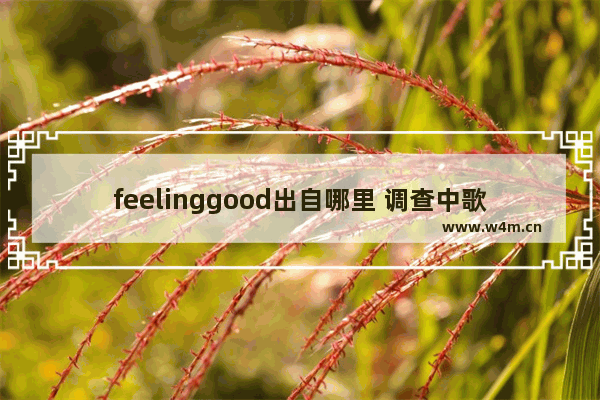 feelinggood出自哪里 调查中歌谱光遇