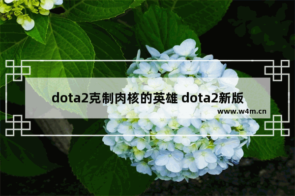 dota2克制肉核的英雄 dota2新版本屠夫怎么玩