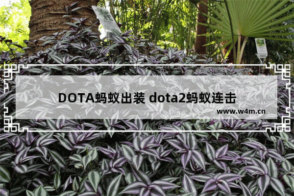 DOTA蚂蚁出装 dota2蚂蚁连击