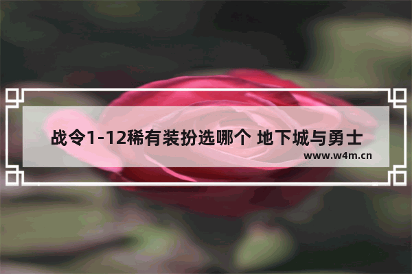 战令1-12稀有装扮选哪个 地下城与勇士第4期稀有装