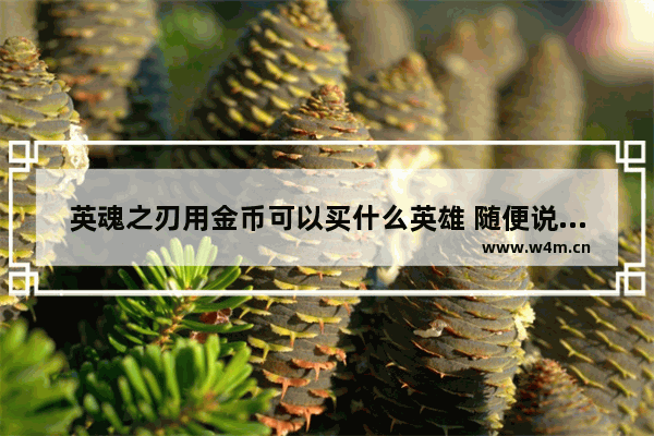 英魂之刃用金币可以买什么英雄 随便说一下价钱 谢谢 光遇福娃怎么便宜