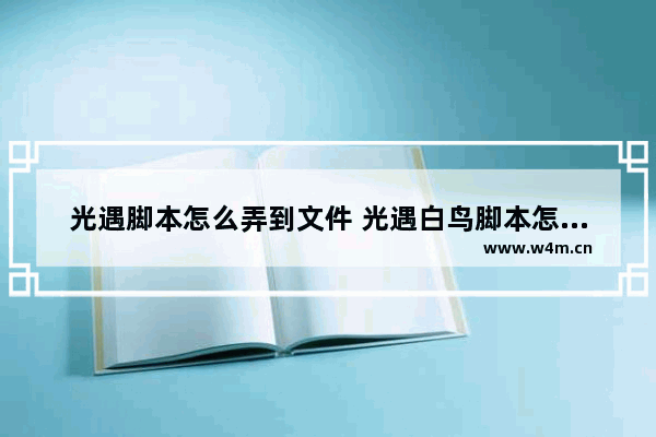 光遇脚本怎么弄到文件 光遇白鸟脚本怎么弄