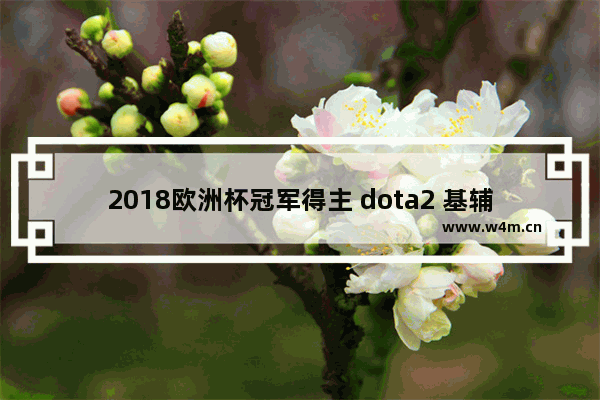 2018欧洲杯冠军得主 dota2 基辅决赛